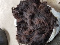 Alpaca Fleece