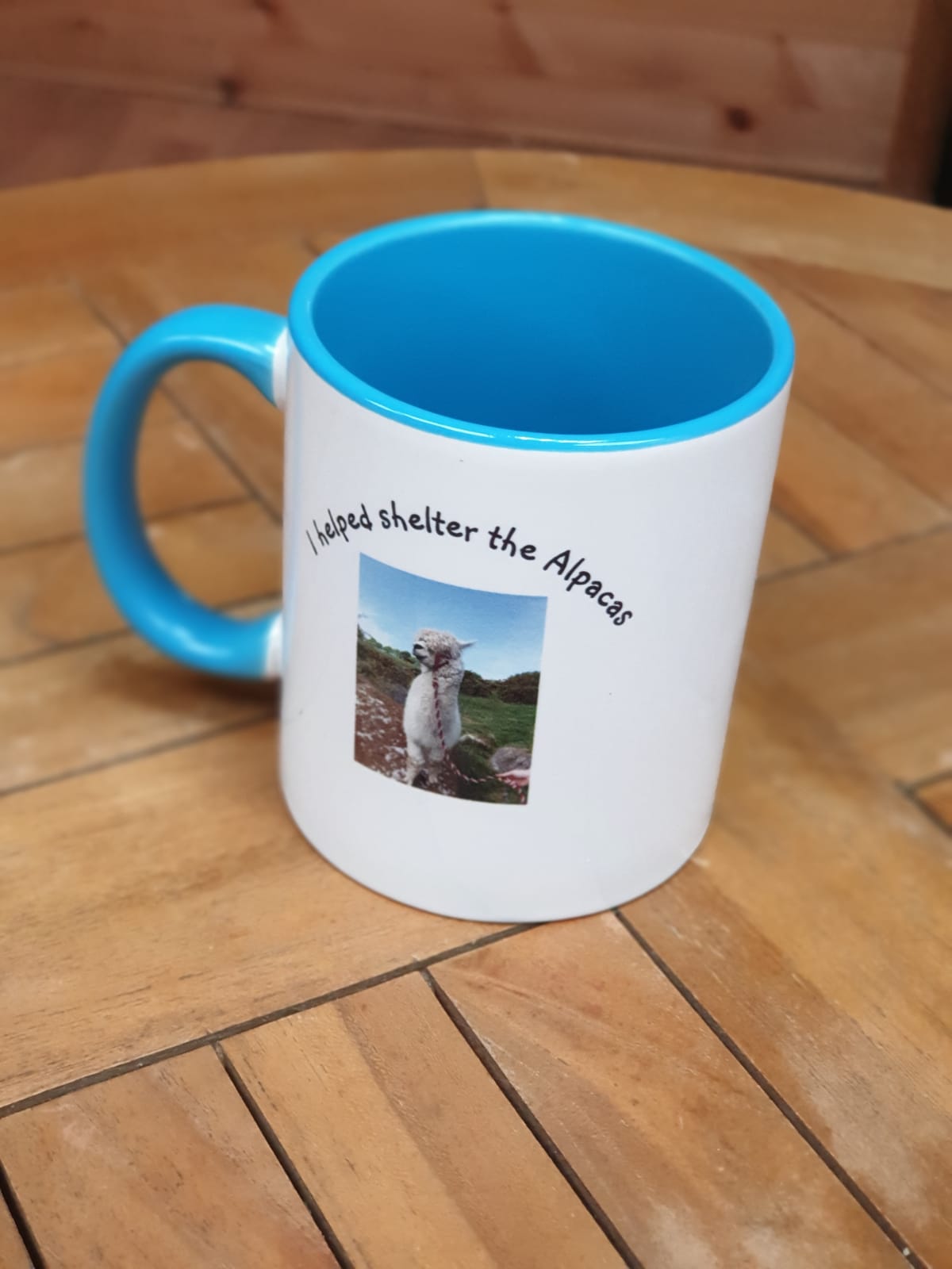 Shelter Mug