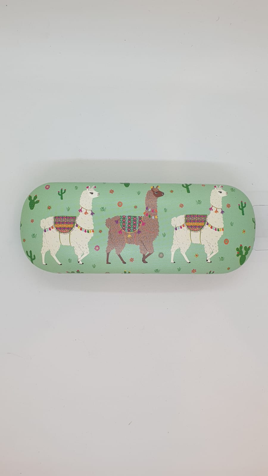 Glasses Case