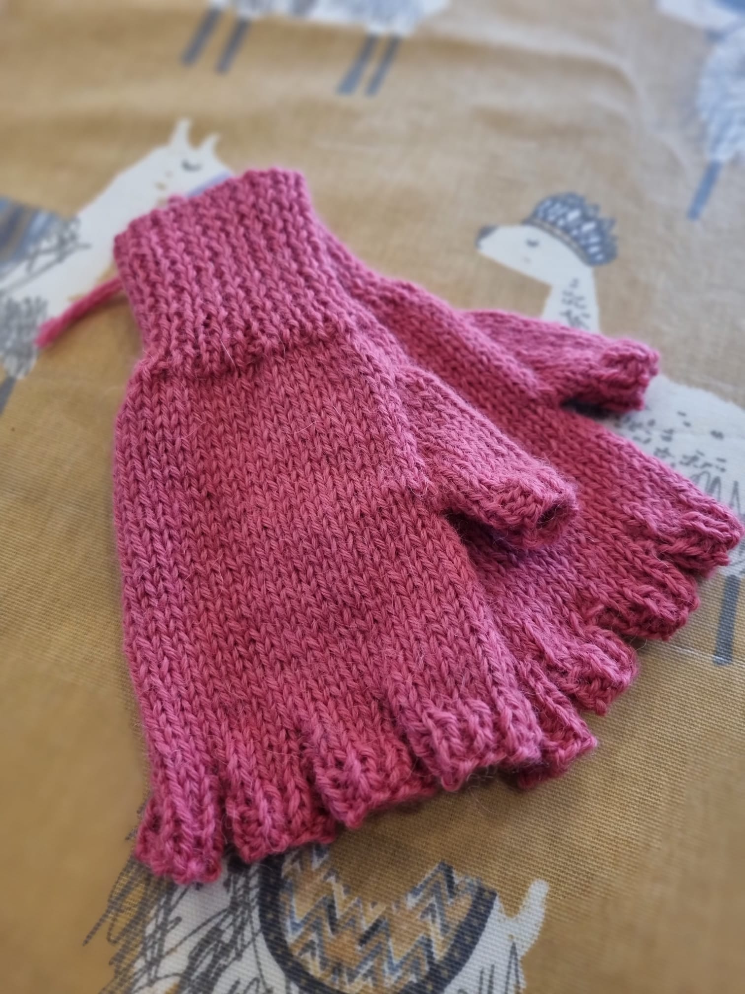  Pink Fingerless Gloves