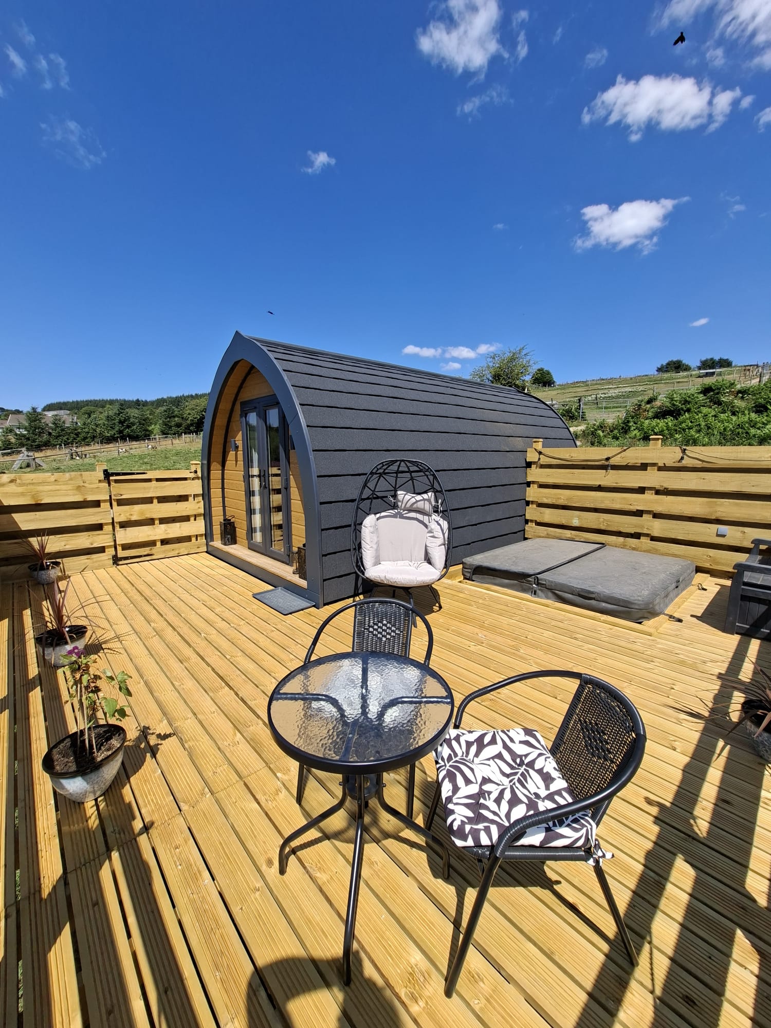 Alpaca Trekking Cornwall – Home of Paws & Purs Cat Cafe and farm ...
